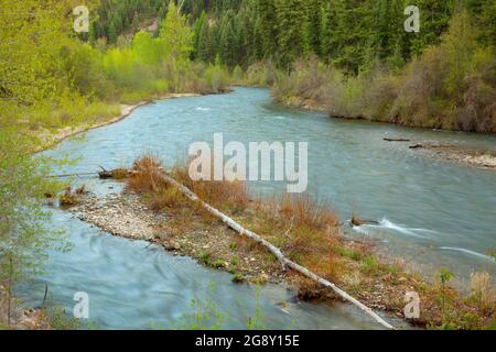 Fish Creek, Big Pine Site d'accès à la pêche, au Montana Banque D'Images