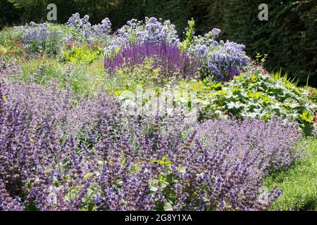 Les jardins surélevés de lits Breezy genoux Banque D'Images