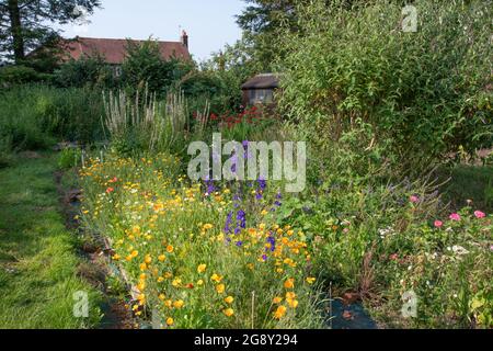 Couper le jardin de fleurs à notre allotissement Banque D'Images