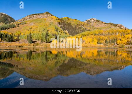 Reflet des trembles sur le lac dans les montagnes San Juan du Colorado Banque D'Images
