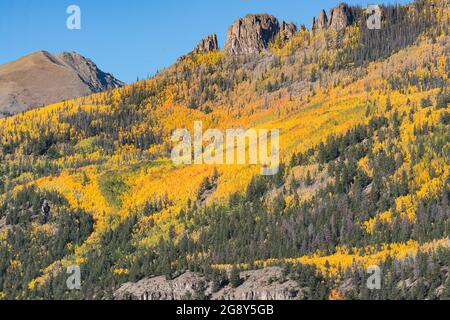 Peupliers jaune sur côté montagne dans les montagnes de San Juan au Colorado Banque D'Images