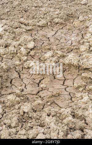 Prise de vue d'un champ sec fissuré. Pour la canicule 2022, la sécheresse au Royaume-Uni, la terre ariée, les pertes de récolte, la canicule européenne/américaine, la saison chaude de l'été, les terres agricoles sèches au Royaume-Uni Banque D'Images