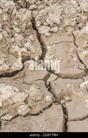 Prise de vue d'un champ sec fissuré. Pour la canicule 2022, la sécheresse au Royaume-Uni, la terre ariée, les pertes de récolte, la canicule européenne/américaine, la crise de l'eau, les terres agricoles sèches au Royaume-Uni Banque D'Images