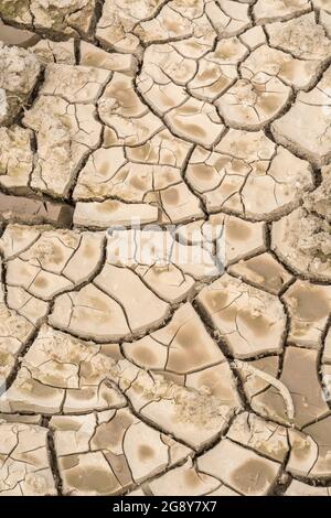 Prise de vue d'un champ sec fissuré. Pour la canicule 2022, la sécheresse au Royaume-Uni, la terre ariée, les pertes de récolte, la canicule européenne/américaine, la saison chaude de l'été, les terres agricoles sèches au Royaume-Uni Banque D'Images