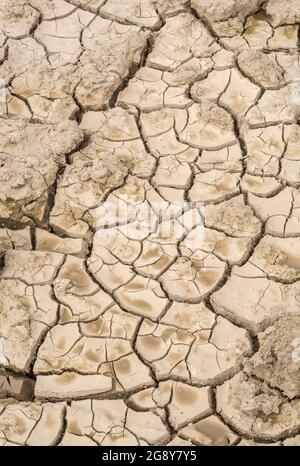 Prise de vue d'un champ sec fissuré. Pour la canicule 2022, la sécheresse au Royaume-Uni, la terre ariée, les pertes de récolte, la canicule européenne/américaine, la saison chaude de l'été, les terres agricoles sèches au Royaume-Uni Banque D'Images