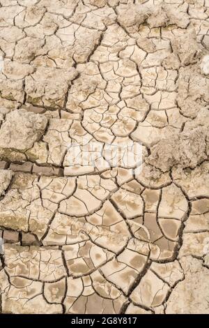 Prise de vue d'un champ sec fissuré. Pour la canicule 2022, la sécheresse au Royaume-Uni, la terre ariée, les pertes de récolte, la canicule européenne/américaine, la saison chaude de l'été, les terres agricoles sèches au Royaume-Uni Banque D'Images