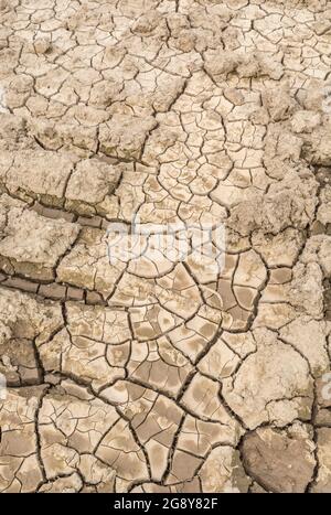 Prise de vue d'un champ sec fissuré. Pour la canicule 2022, la sécheresse au Royaume-Uni, la terre ariée, les pertes de récolte, la canicule européenne/américaine, la saison chaude de l'été, les terres agricoles sèches au Royaume-Uni Banque D'Images