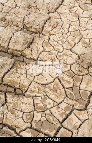 Prise de vue d'un champ sec fissuré. Pour la canicule 2022, la sécheresse au Royaume-Uni, la terre ariée, les pertes de récolte, la canicule européenne/américaine, la saison chaude de l'été, les terres agricoles sèches au Royaume-Uni Banque D'Images