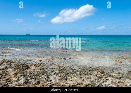 Vue panoramique sur la plage rocheuse de l'île Grand Cayman et les eaux de la mer des Caraïbes (îles Caïmans). Banque D'Images