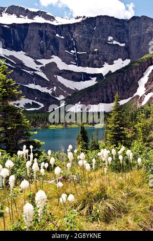 Neige dispersée sur les pentes de montagne au-dessus du lac Bullhead, vallée de SwiftCurrent, barbe en fleur, parc national des Glaciers, Montana Banque D'Images