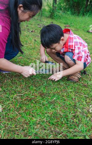 Mère asiatique et beau fils appréciant dans la nature. Jeune garçon explorant la nature au sol avec une loupe. Enfants jouant à l'extérieur dans la journée Banque D'Images