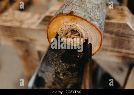 Procédé de travail du bois, fabrication de tuyaux en bois, didgeridoo Banque D'Images