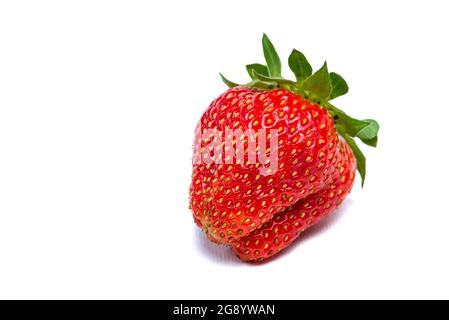 Fraises sur fond blanc. Isolat de fraise sur fond blanc. Photo pour impression ou insertion dans le design. Banque D'Images