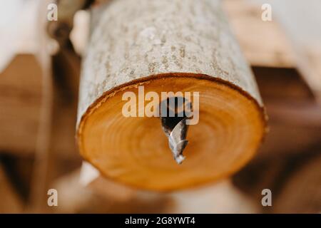 Procédé de travail du bois, fabrication de tuyaux en bois, didgeridoo Banque D'Images