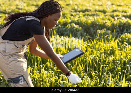 Agricultrice utilisant une tablette numérique tout en examinant les plantes à la ferme pendant la journée ensoleillée Banque D'Images