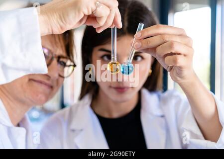 Femmes scientifiques examinant des produits chimiques dans des tubes à essai en laboratoire Banque D'Images
