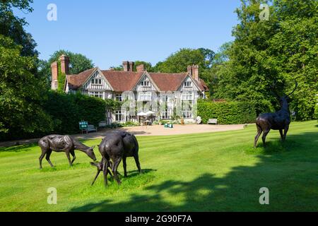 Jardins du manoir de Pashley, East Sussex, royaume-uni Banque D'Images