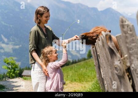 Mère et fille nourrissant du poney en se tenant près de la clôture le jour ensoleillé Banque D'Images