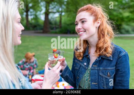 Les femmes toastent un verre tout en discutant avec des amis en arrière-plan au parc Banque D'Images