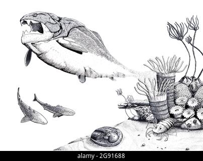 Faune dévonienne, illustration Banque D'Images