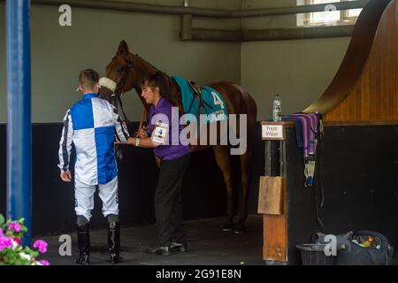 Ascot, Berkshire, Royaume-Uni. 23 juillet 2021. Équestres Raymond dans les écuries avant de concourir dans les piquets Jack handicap Brown de John Guest Racing au week-end de King George aux courses d'Ascot. Crédit : Maureen McLean/Alay Banque D'Images