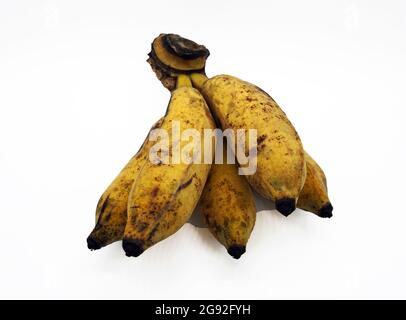 La banane est un fruit qui est bénéfique à la santé Banque D'Images