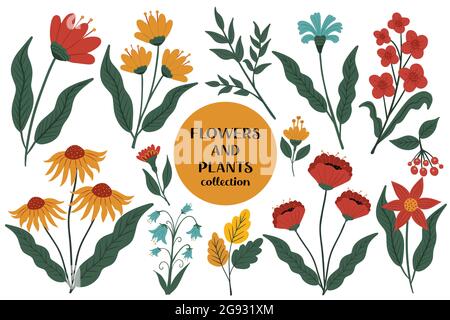 Ensemble de fleurs et plantes vintage. Collection botanique florale moderne de style dessin animé à la main. Illustration vectorielle Illustration de Vecteur