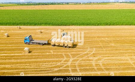 Vue au-dessus de la pelle hydraulique lors du chargement de balles de paille sur une remorque, remorquée par camion sur une terre agricole, à l'aide d'une lame de chariot élévateur, support supplémentaire. Banque D'Images