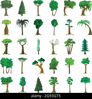 Seth arbres de différentes zones climatiques sur fond blanc - illustration vectorielle Illustration de Vecteur