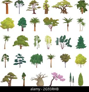 Seth arbres de différentes zones climatiques sur fond blanc - illustration vectorielle Illustration de Vecteur