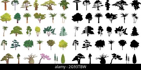 Seth silhouettes noires et arbres réalistes de différentes zones climatiques sur fond blanc - illustration vectorielle Illustration de Vecteur