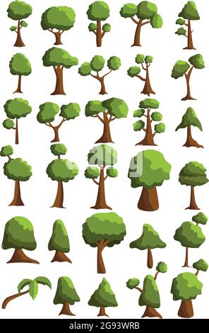 Seth arbres de différentes zones climatiques sur fond blanc - illustration vectorielle Illustration de Vecteur