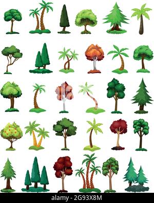 Seth arbres de différentes zones climatiques sur fond blanc - illustration vectorielle Illustration de Vecteur