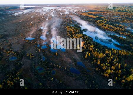 Un sentier de randonnée et une tour à Mukri bog pendant un lever de soleil brumeux en été, nature estonienne Banque D'Images