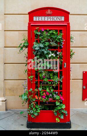 Un ancien kiosque téléphonique public rouge rempli d'usines dans la ville de Bath, à Somerset, au Royaume-Uni Banque D'Images