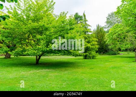 Arbres dans un jardin public à Bath, Royaume-Uni Banque D'Images