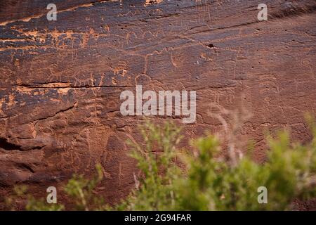 Le panneau pétroglyphe de Sand Island dans le monument national Bears Ears Banque D'Images