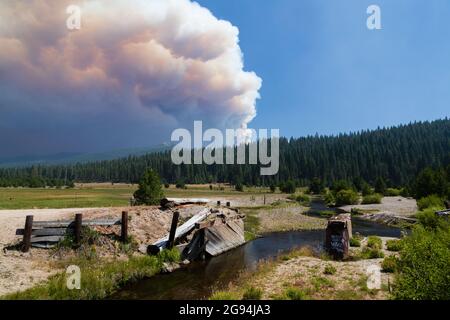 Le panache du feu Dixie dans le comté de Plumas, en Californie, a fait la part de fumée, vu de Deer Creek le 22 juillet 2021 Banque D'Images