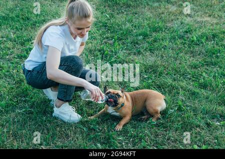 le propriétaire donne de l'eau à son chien dans le parc en été Banque D'Images