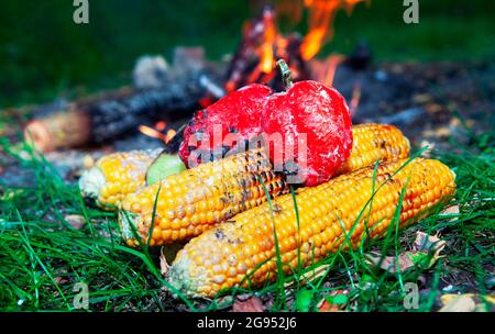 Pique-nique avec poivrons et cornes . Légumes cuits Banque D'Images