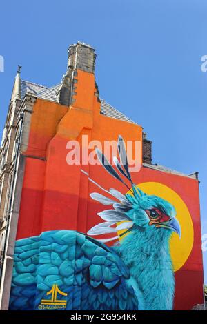 Foie oiseau / Secrétaire oiseau mural Banque D'Images