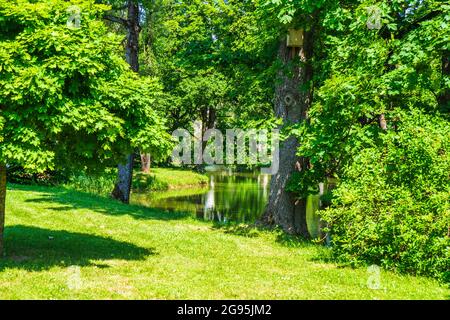 Étang et arbres verts dans le parc de la ville d'été Banque D'Images