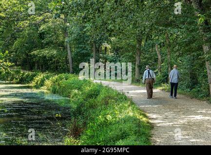 Les personnes âgées font une promenade tranquille en été sur les rives d'un canal Banque D'Images