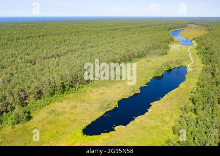 Vue aérienne des lacs marécageux étroits bleu foncé dans la forêt verte Banque D'Images