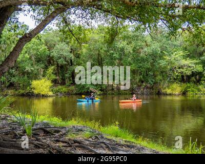 Kayak dans la rivière Myakka à Venise Parc de la rivière Myakka à Venise Floride Etats-Unis Banque D'Images