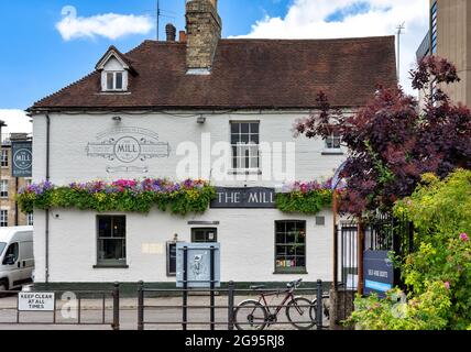 CAMBRIDGE ENGLAND MILL LANE ET LE MOULIN PUBLIC HOUSE OU PUB Banque D'Images