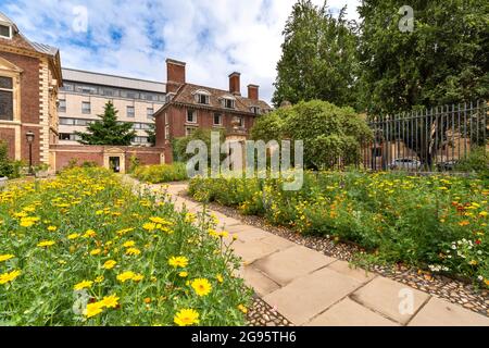 CAMBRIDGE ENGLAND TRUMPINGTON STREET ST CATHARINE'S COLLEGE LITS DE FLEURS TRÈS COLORÉS EN ÉTÉ Banque D'Images