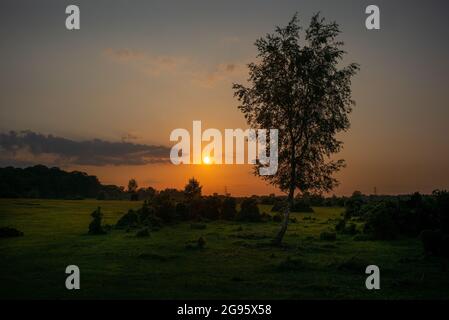 Un magnifique paysage du soir d'été tandis que le soleil se couche sur Canada Common au bord du parc national de New Forest Hampshire Angleterre. Banque D'Images