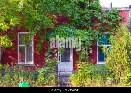 Maison en petite Italie Montréal, Canada Banque D'Images