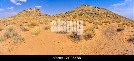 Panorama de Tsu'Vo Buttes dans Homolovi State Park Arizona. TSU'Vo est un mot Hopi qui signifie chemin des crotlesnakes. Banque D'Images